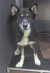 I need a home