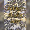 Palmer Buzz