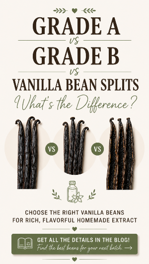 homemade vanilla extract, diy vanilla extract, pure vanilla