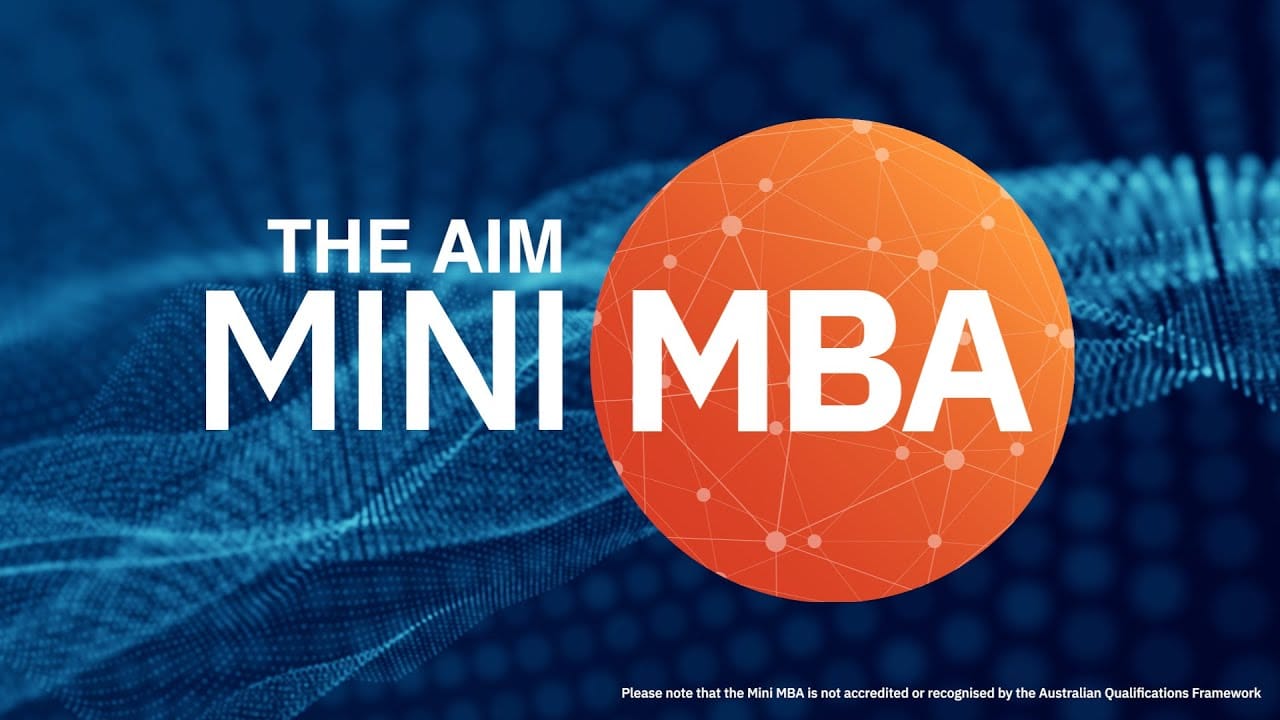 XIV: The Mini MBA Experience.