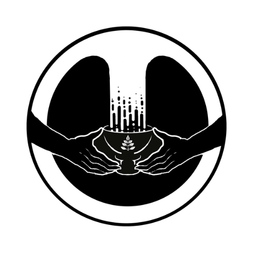Transgressive Medicine by zel amanzi