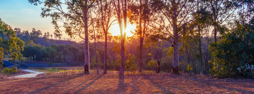 To Tend, To Transform, To Treasure: Sustainability and the Communion Forest