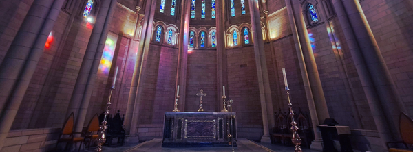 An Archbishop's Reflection