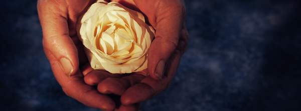 Beautiful ideas, not ideology
