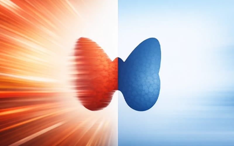 Speed-themed infographic comparing the metabolic rates of hyperthyroidism and hypothyroidism.
