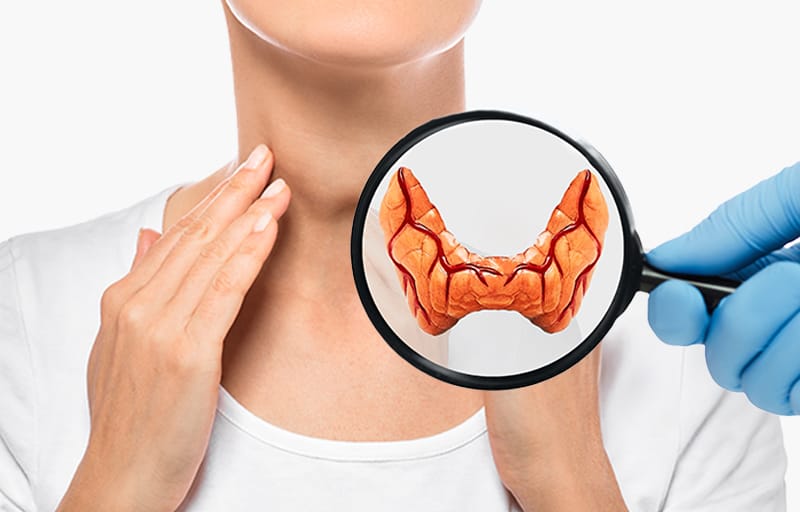 갑상선 항진 vs 저하｜증상보다 ‘수치’가 먼저인 이유