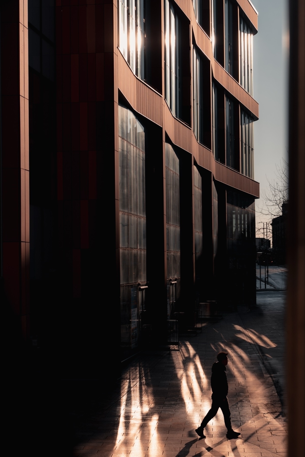 A person walking on a sunlit sidewalk next to a modern building. The building's reflective windows create dramatic light patterns on the ground. Shadows and warm light add a moody, urban atmosphere.