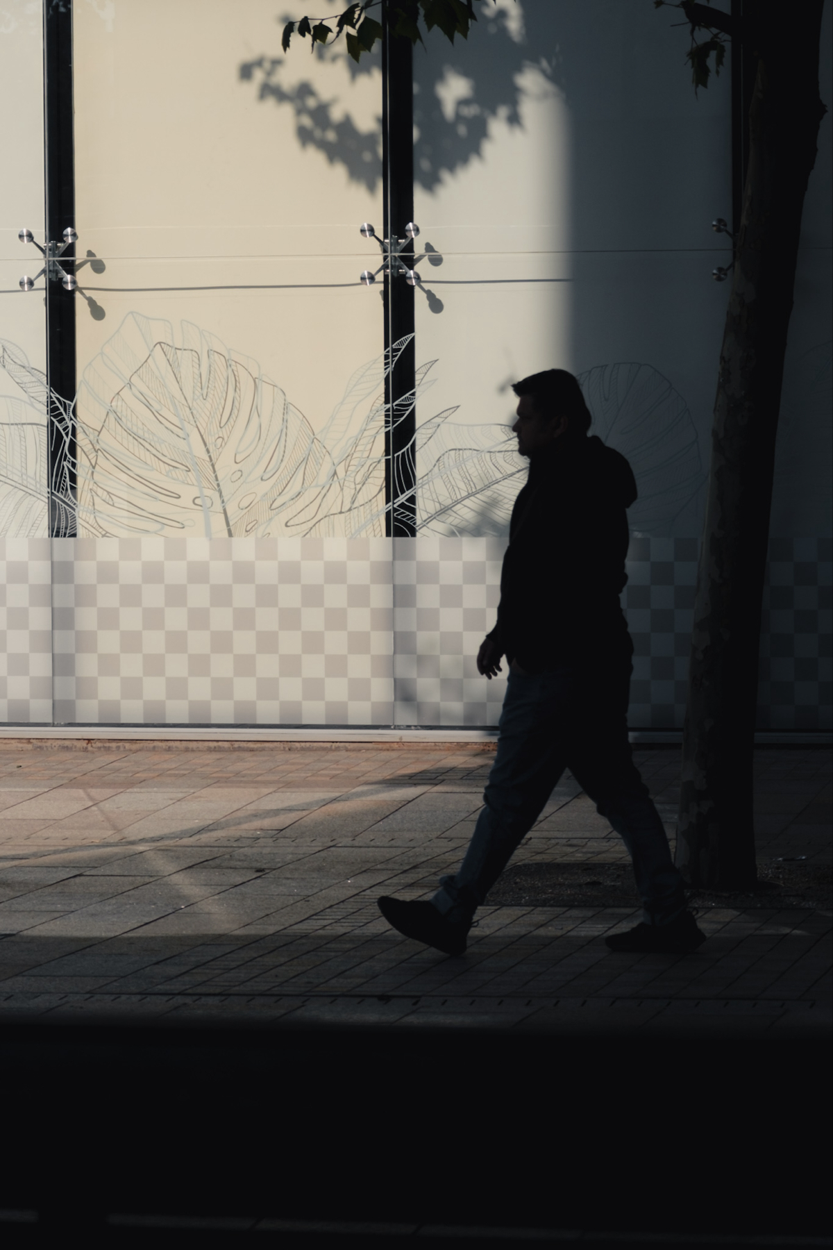 A person in silhouette walks on a sunlit sidewalk in front of a building with a plant-themed graphic on the wall. The image is partly shadowed, adding a dramatic contrast.