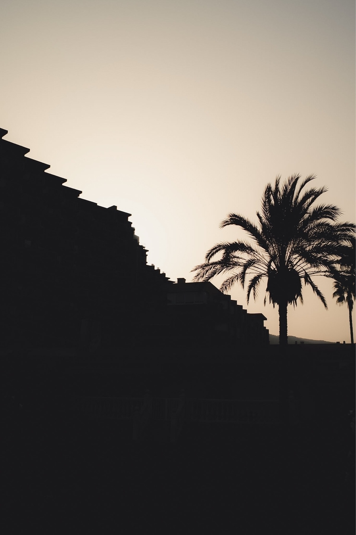 Silhouetted palm trees and a building are set against a pastel sky at sunset or sunrise.