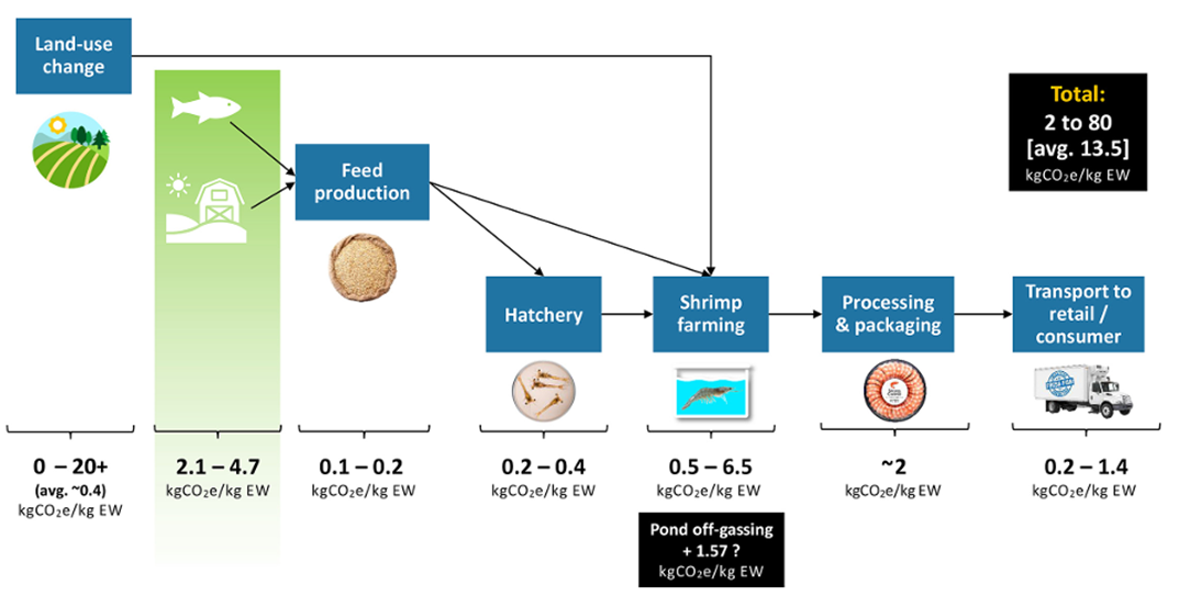 Figure 5. WWF: Range of GHG emissions from aquaculture shrimp supply chains