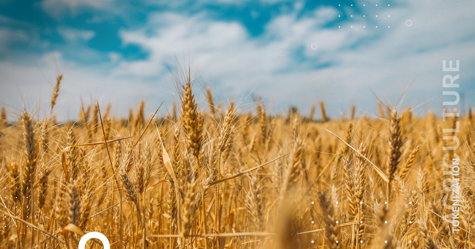 Tokenization of farmland: benefits to agricultural sector and investors.