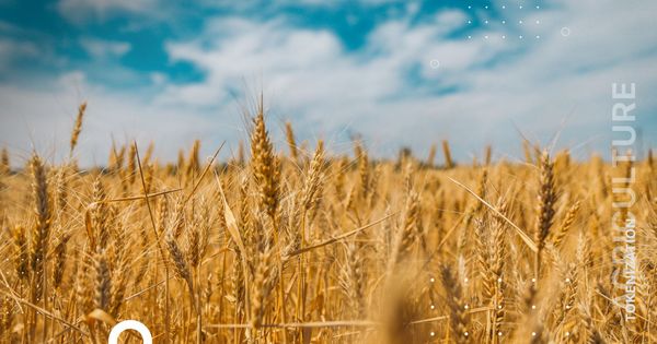 Tokenization of farmland: benefits to agricultural sector and investors.