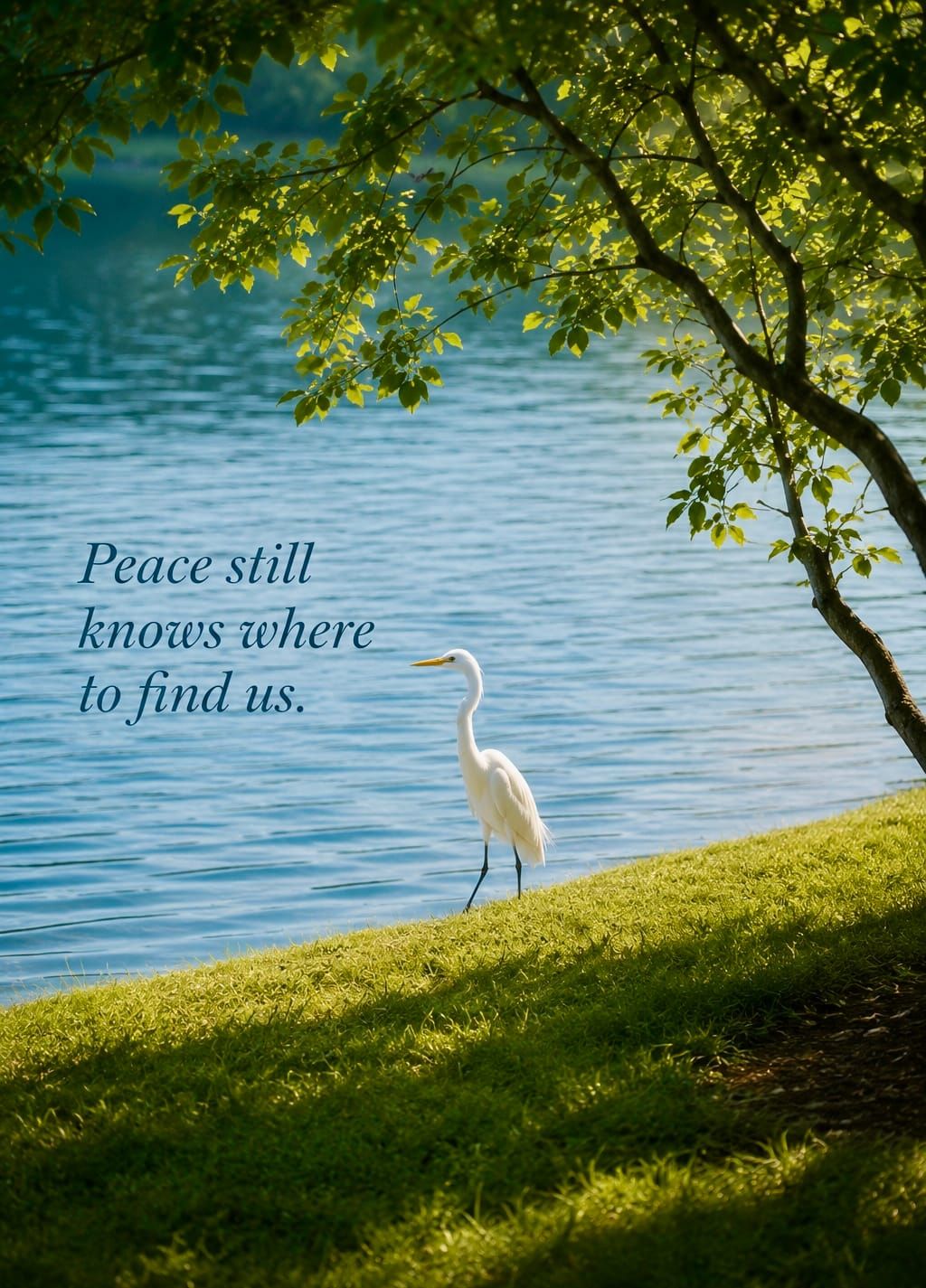 We Need Nature More Than We Admit