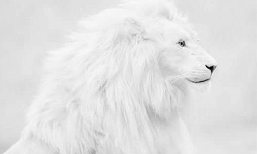 #010 Reality as a wave function