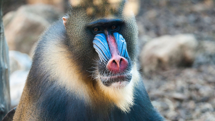 #011 As we believe, so we act.  As we act, so we become.