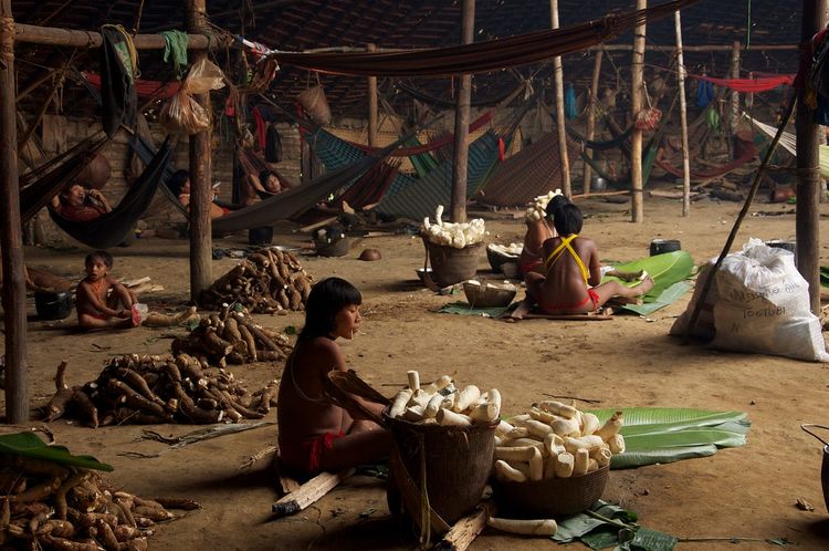 Reflexões sobre Mortalidade e Imortalidade: do povo Yanomami ao Universo Digital