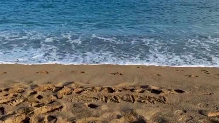 Temporal Letter #2: 2026 to 2029