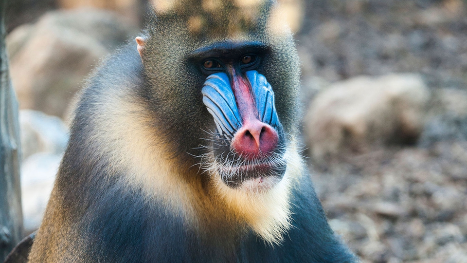 #011 As we believe, so we act.  As we act, so we become.