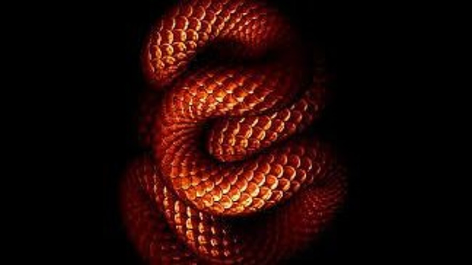 #025 "Previously on Survivor"