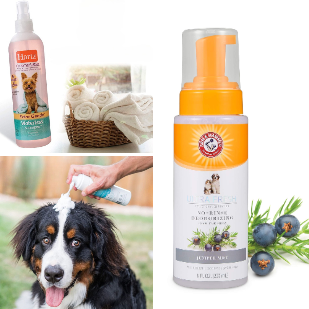 Best Waterless Dog Shampoo