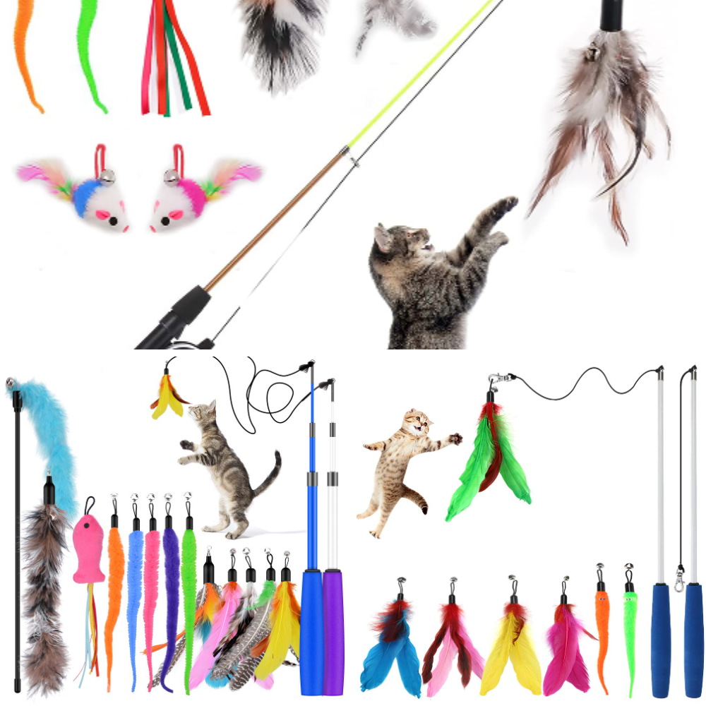 Best Cat Fishing Rod