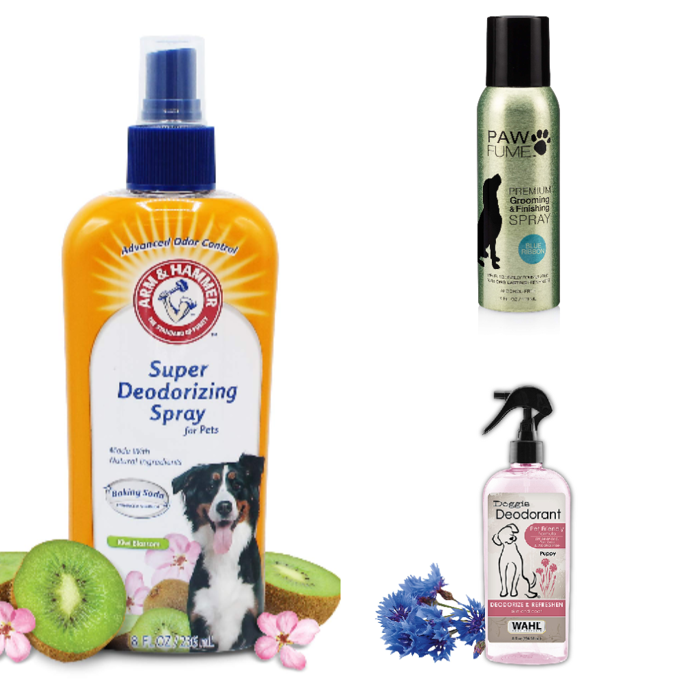 Best Dog Deodorizing Spray