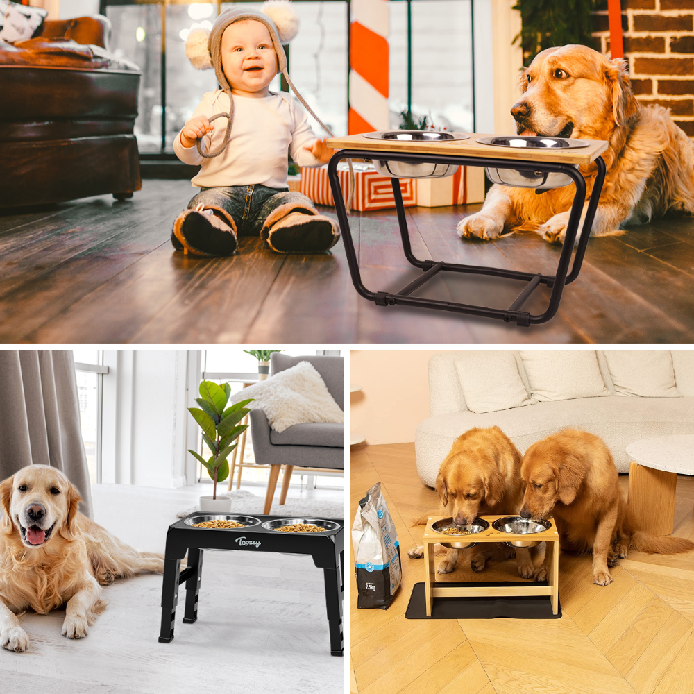 Best Elevated Dog Bowls