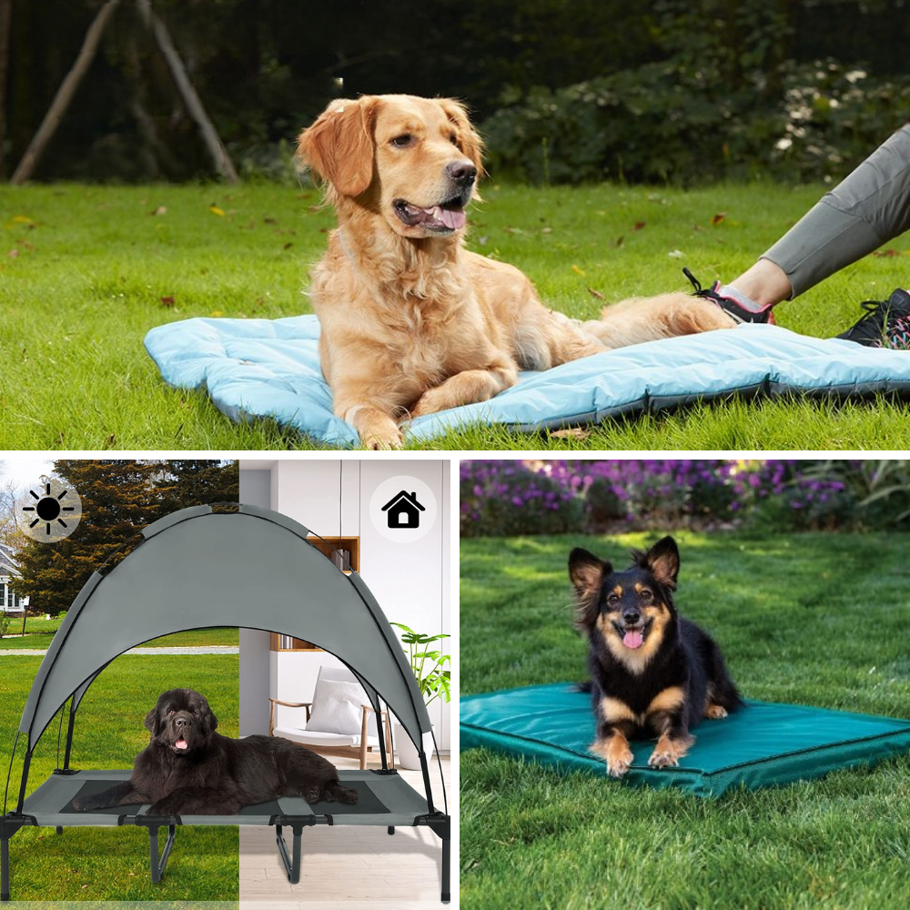 Best Outdoor Dog Bedding