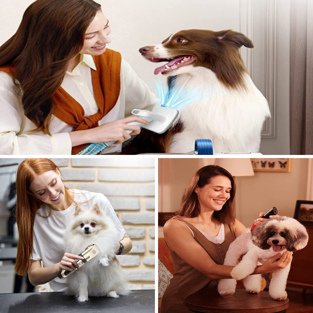 Best Professional Dog Grooming Clippers