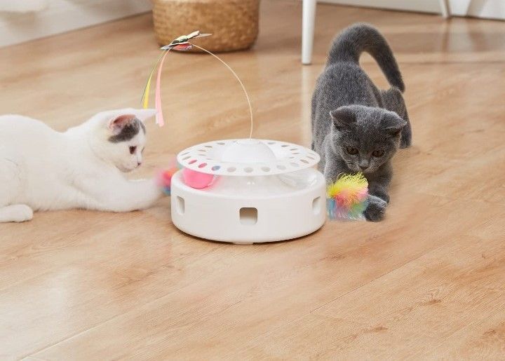 Toys for Cats Home Alone