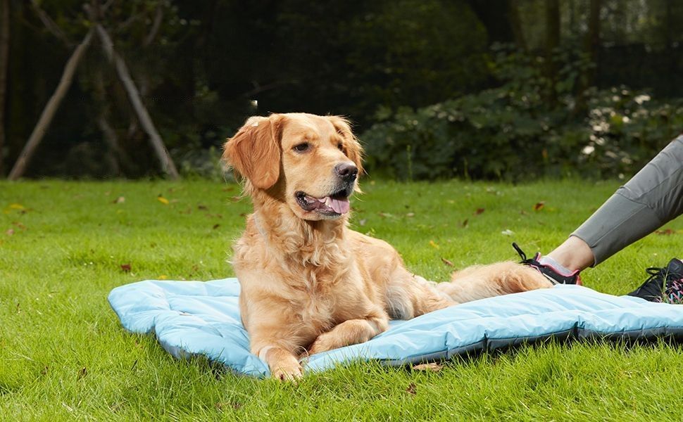 Outdoor Dog Bedding