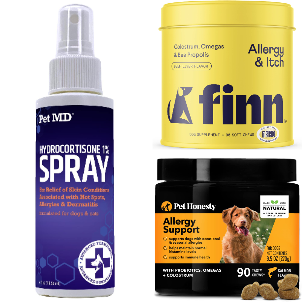 Best Allergy Medicine For Dogs