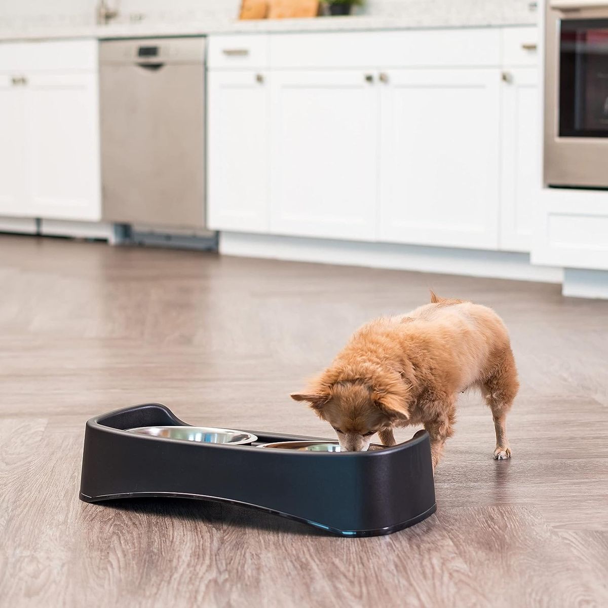 What do Vets Say about Elevated Dog Bowls