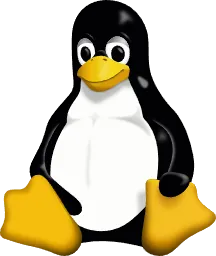 Why I Switched from Windows to Linux: A simple Guide