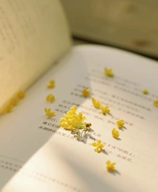 文字点亮的旅程