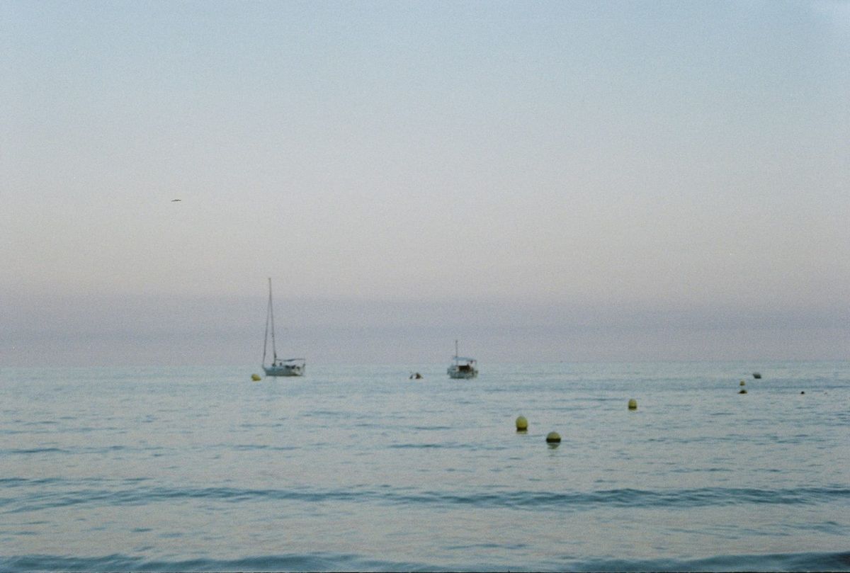 与2024金马奖电影导演的访谈