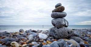 Are You Meant to Study With Me?