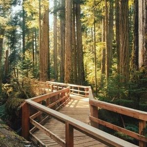 Create the Career You Love