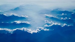 Fear Released is Trust