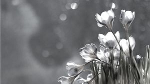 Fifteen Soul-Level Quotes about the Akashic Records