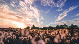 How do I Open the Akashic Records?