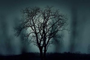 Lessons of Greed