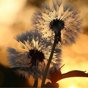 Open. Allow. Receive.