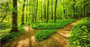 Pathways