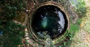 Question Suggestions