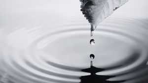 Sacred Inquiry in the Akashic Records