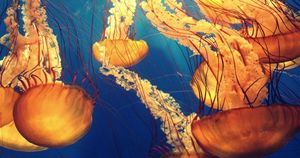 Spiritual Deep Dive