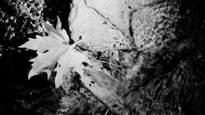 Becoming Through the Akashic Records