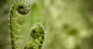 Unfolding the Unknown: What is the Pathway of Becoming?