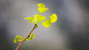 In the Nuance of Change, Shift Happens